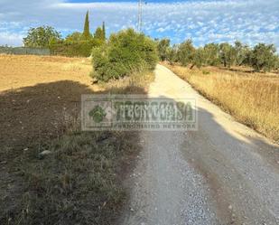 Land for sale in Ronda