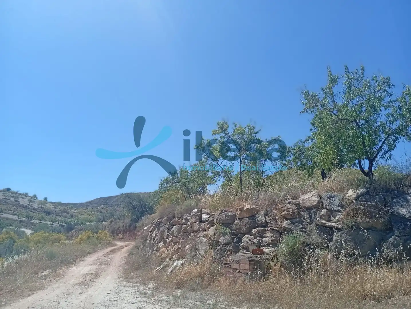 Lands and plots for sale in Cantoria
