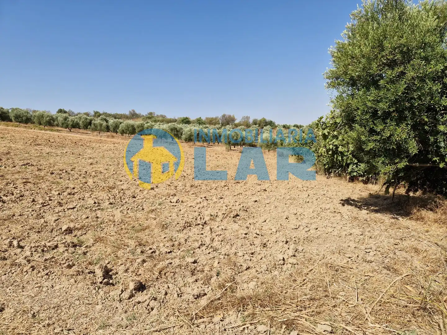 Terreno rustico in vendita a Bonares, imagen 3