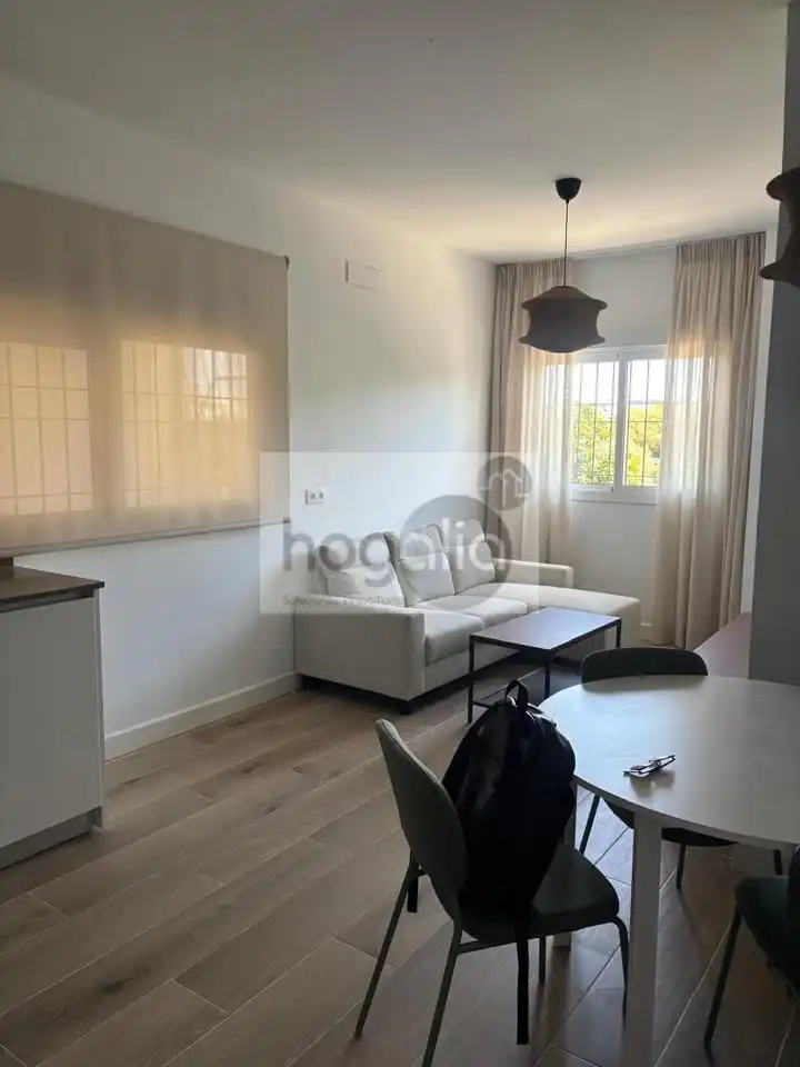 Ground floor for rent in Triana Casco Antiguo