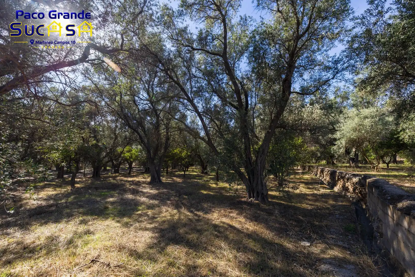 Terreno rustico in vendita a PINOS DEL VALLE, imagen 17