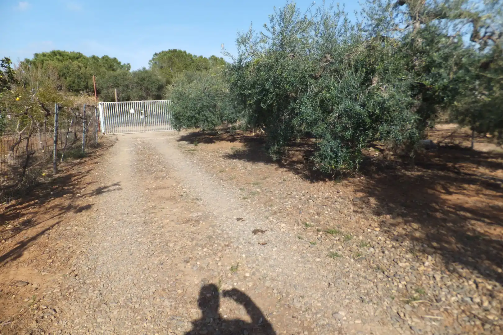 Terreno residencial en venta en Riudoms, imagen 40