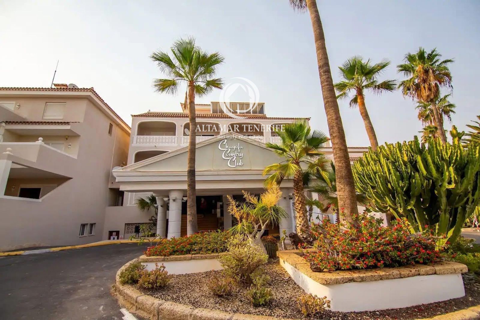 Vista exterior de Apartament en venda en Arona amb Terrassa, Piscina i Moblat