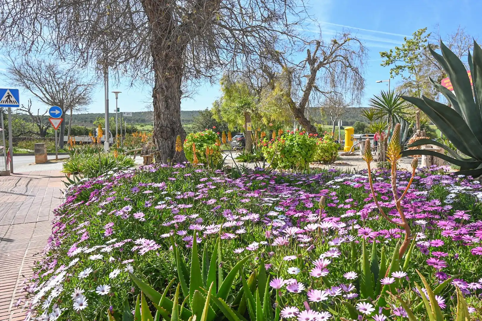 Jardí de Pis en venda en Calvià amb Aire condicionat, Jardí privat i Balcó