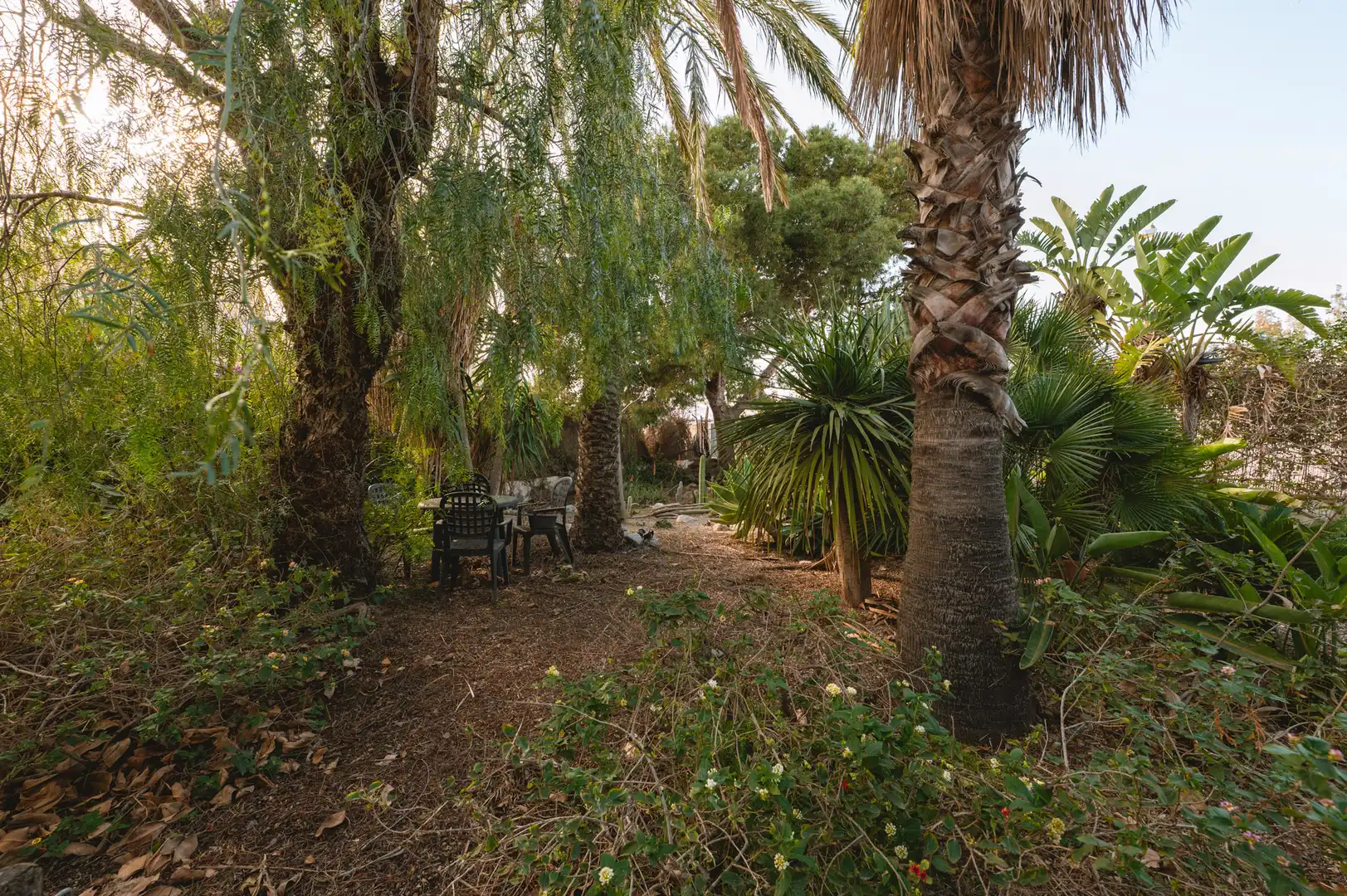 Casa o chalet en venta en Retamar