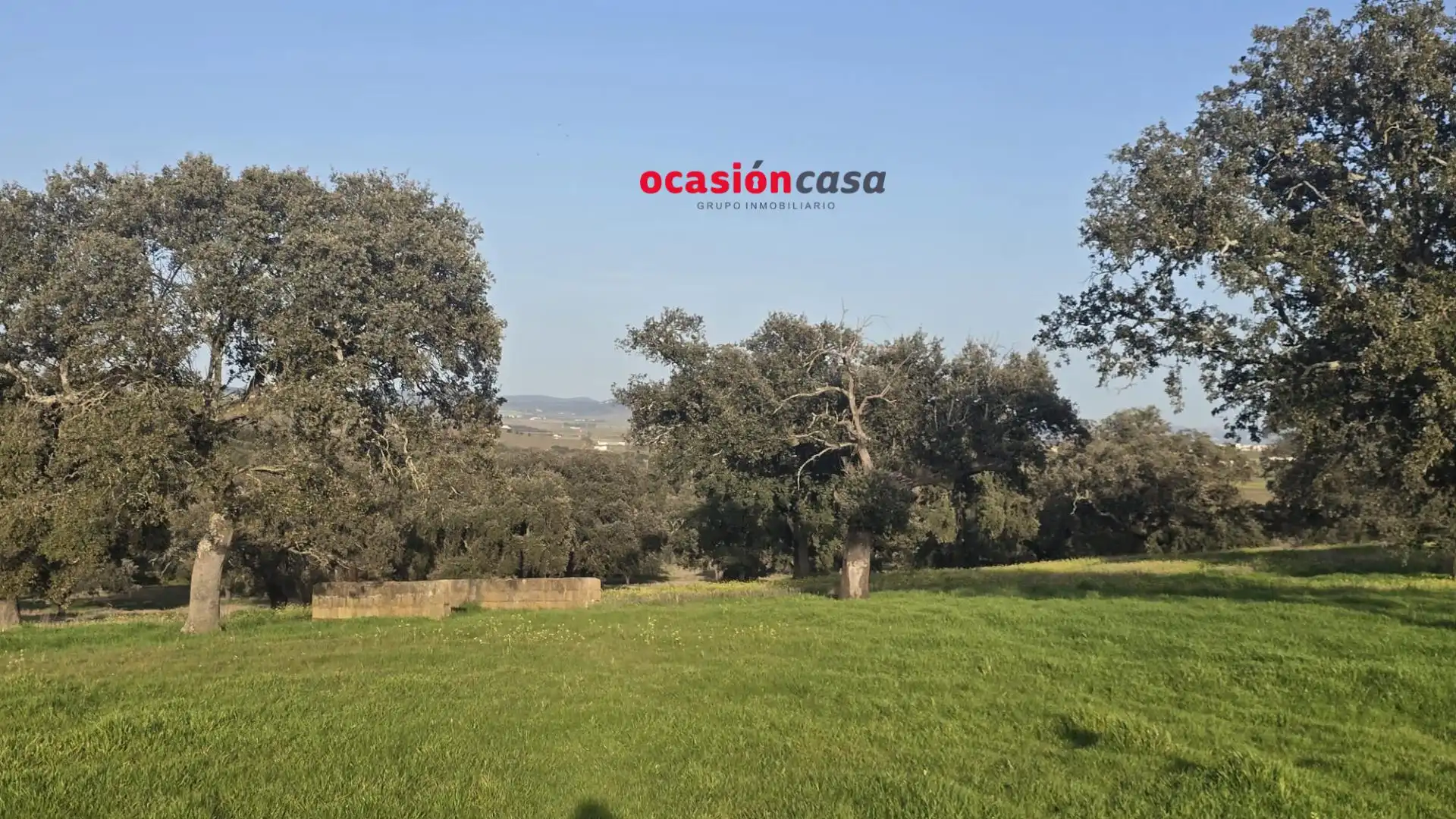 Maison rustique à vendre à Fuente Obejuna, imagen 6