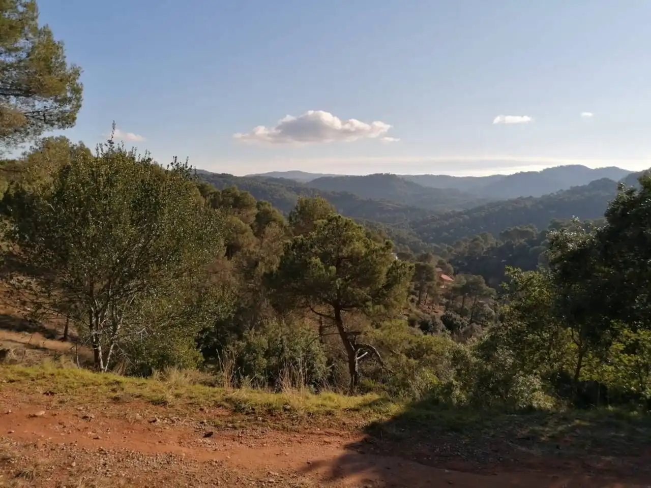 Residential land for sale in Calle Santa Agnés, imagen 3