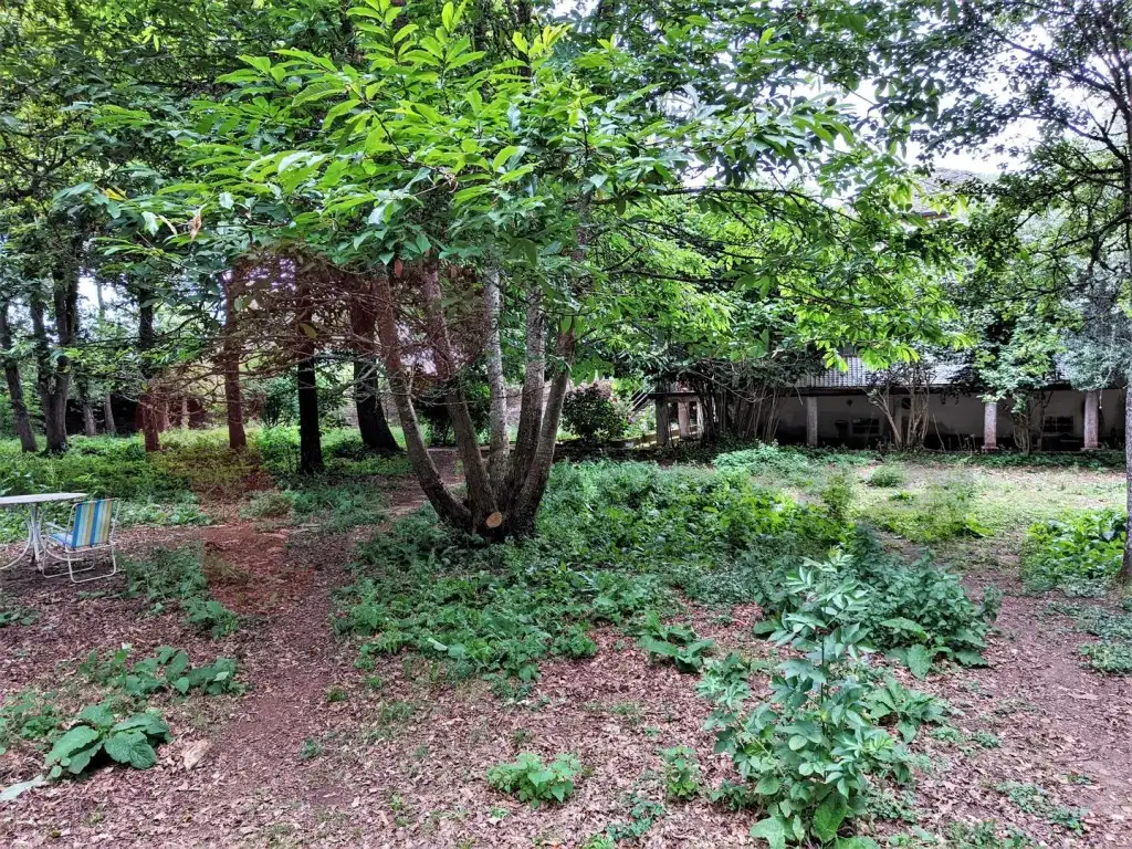 Casa o xalet en venda a Rábade