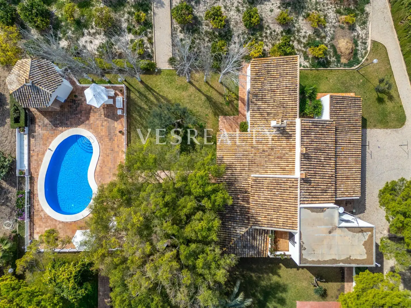 Vista exterior de Casa o xalet en venda en Alicante / Alacant amb Calefacció, Jardí privat i Terrassa