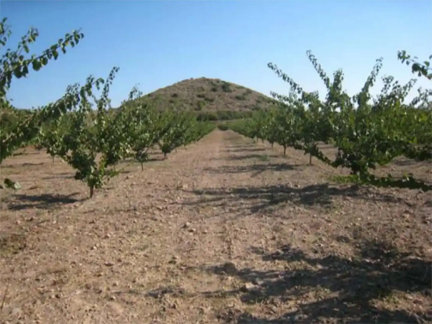 Terreno industrial en venta en Caravaca de la Cruz