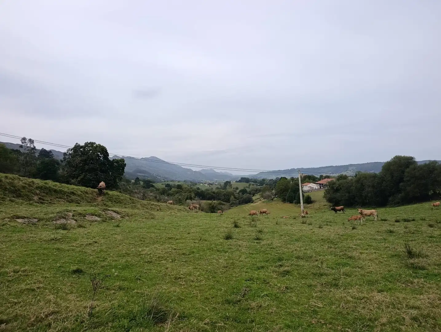Rustikales Grundstück zum Verkauf in Carretera Piñera (Noriega) 0, imagen 14