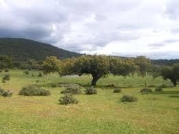 Country house for sale in Barcarrota