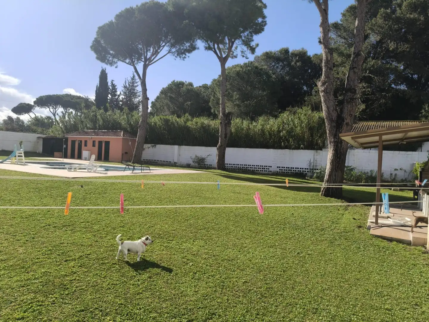 Jardí de Casa o xalet en venda en Chiclana de la Frontera amb Aire condicionat, Jardí privat i Traster