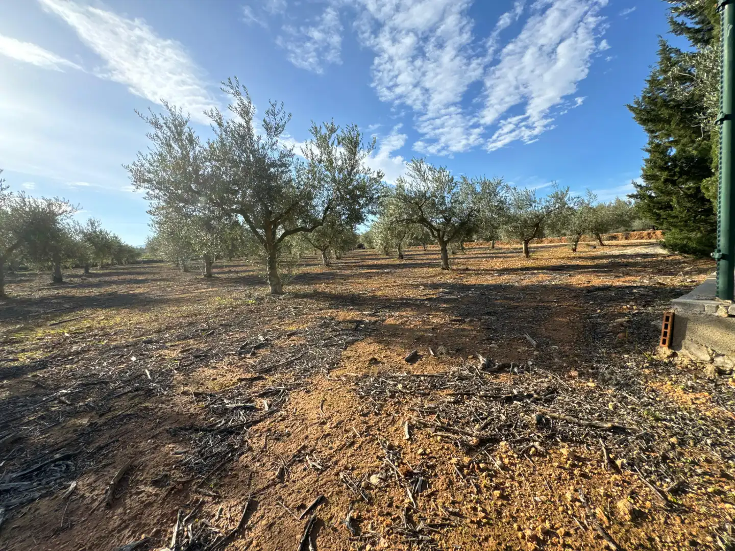 Finca rústica en venda en El Palomar amb Jardí privat, Terrassa i Traster