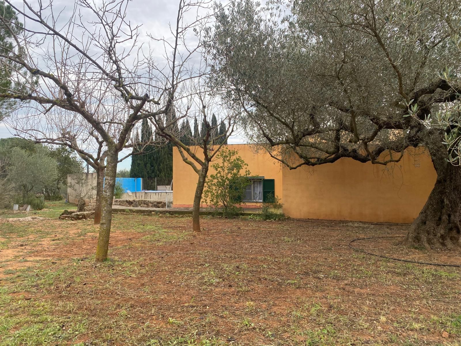 Finca rústica en venda a 4 Parc.84,85,88 i 89, Freginals