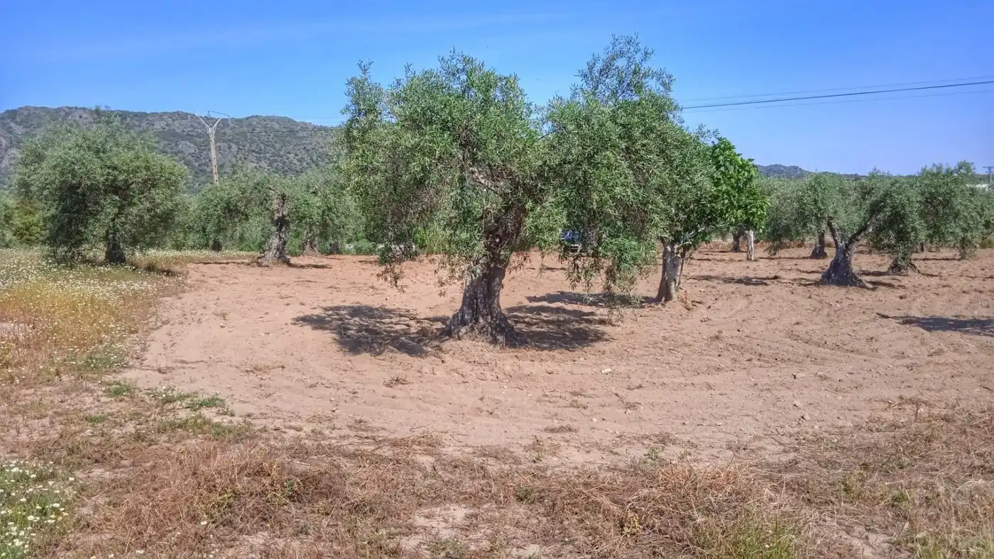 Casa o chalet en venta en Montánchez