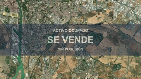 Foto 4 de Piso en venta en El Plantinar – Avda. La Paz - El Juncal, Sevilla Capital