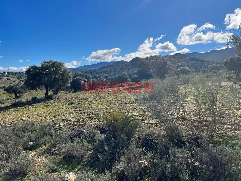 Finca rústica en venta en Carrascalejo