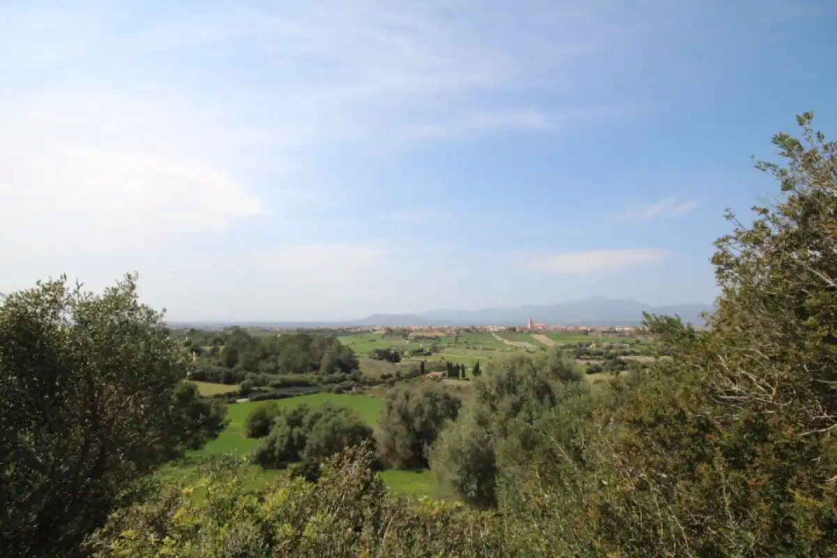 Casa con terrazza in vendita a Muro, imagen 13