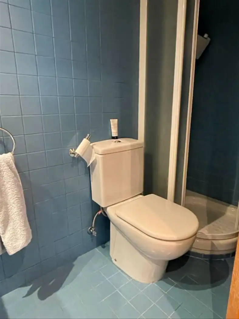Bany de Casa o xalet en venda en Sant Boi de Llobregat amb Aire condicionat, Parquet i Terrassa