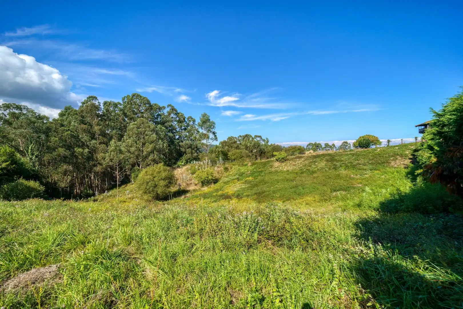 Residential land for sale in Lugar Pando, imagen 4