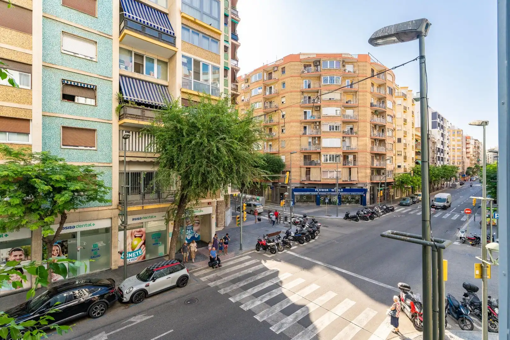 Piso con jardín en venta en Calle HIGINI ANGLES, imagen 11