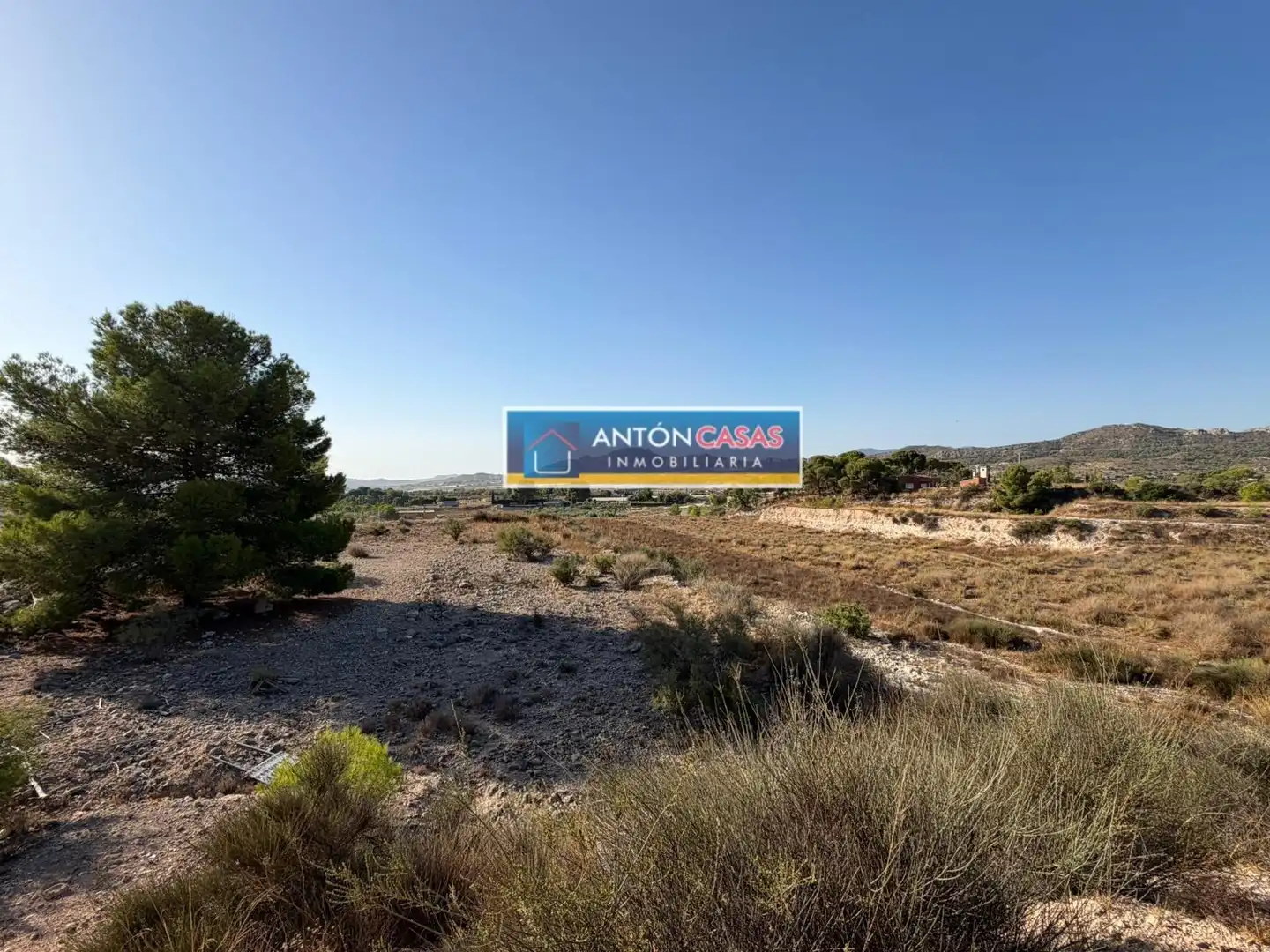 Rural land for sale in Novelda, imagen 15