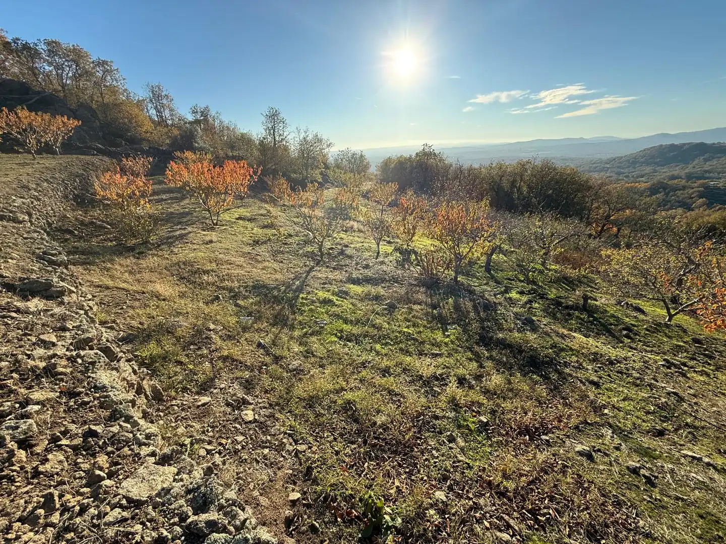Land for sale in Arroyomolinos de la Vera