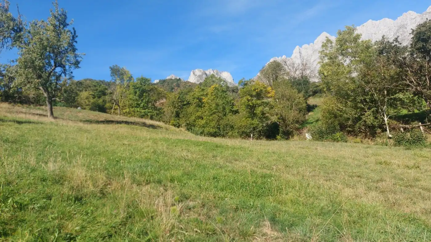 Terreno en venta en Camaleño
