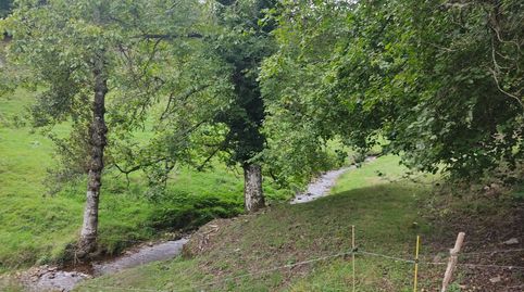 Finca en a Ribeira Sacra, immagine 3
