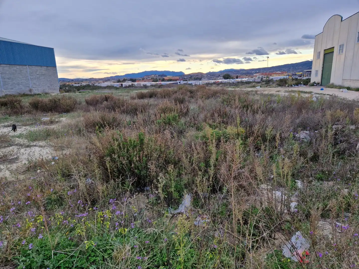 Terreny industrial en venda a Archena, imagen 6