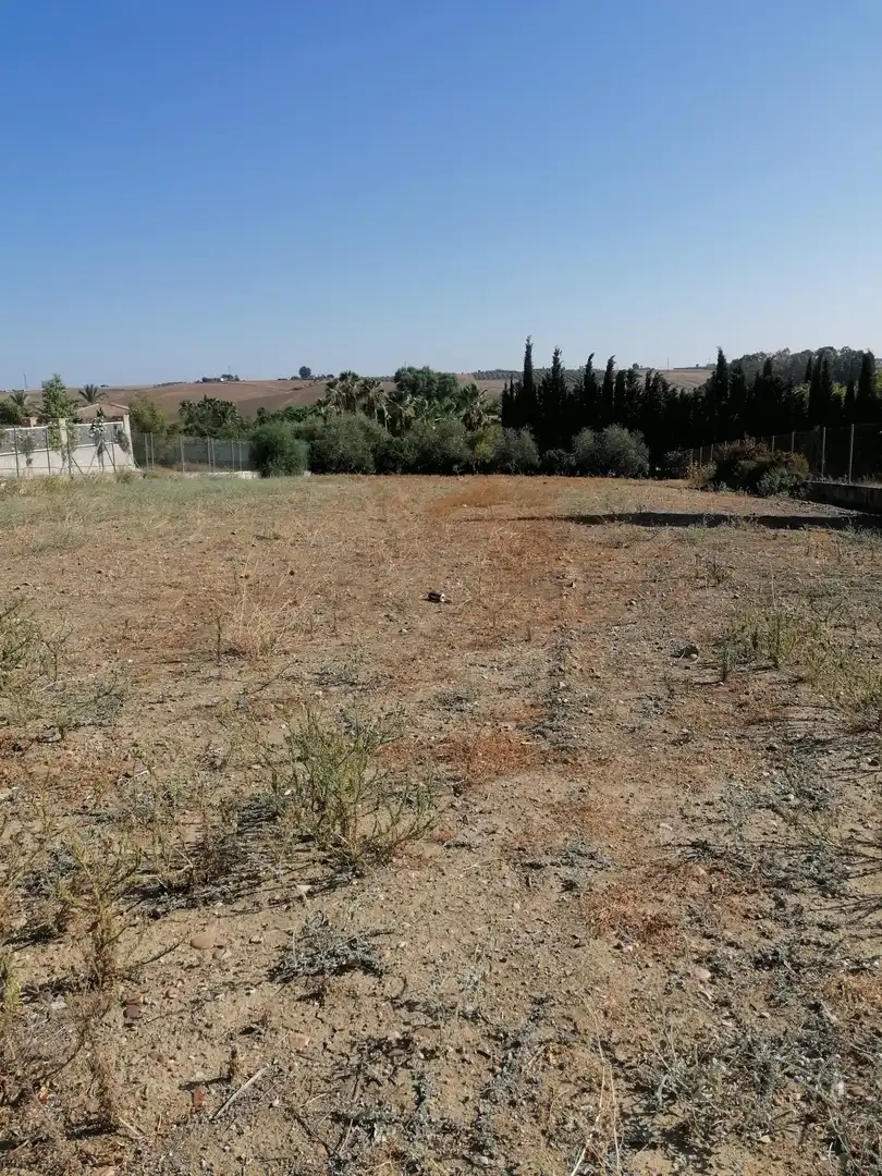 Terreny residencial en venda a La Carlota, imagen 5