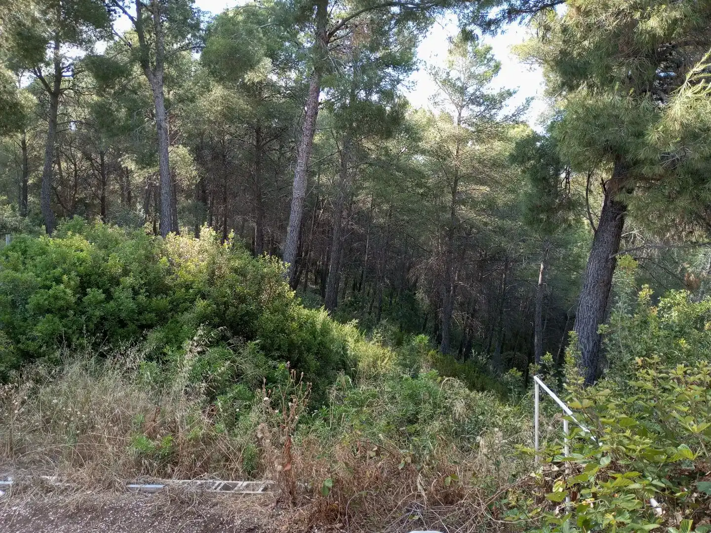 Pis en venda en Torrelles de Foix amb Jardí privat, Parquet i Piscina