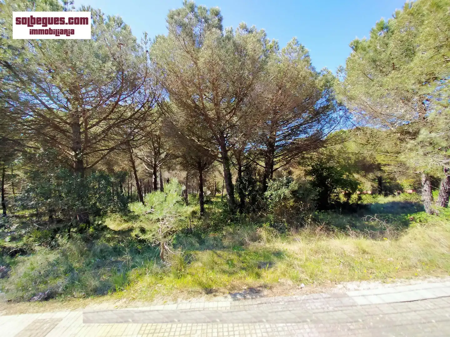 Terrenys i solars en venda a Gregal 32, imagen 13