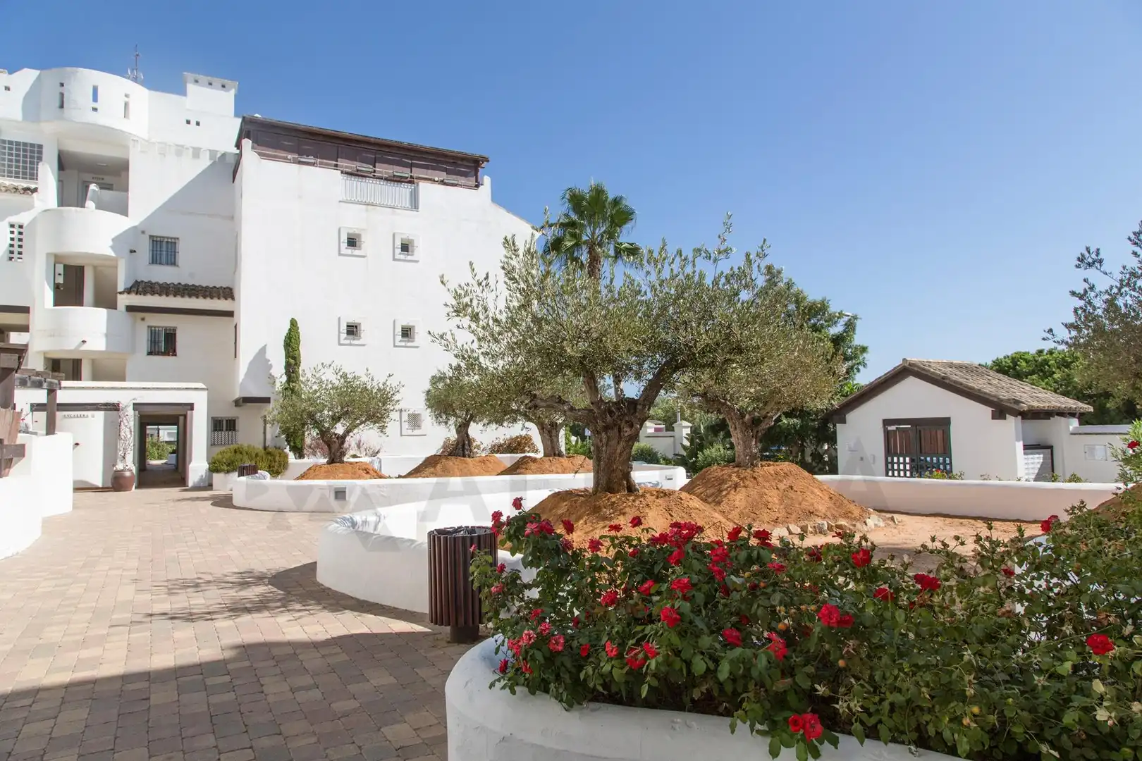 Vista exterior de Ático en venta en Rota con Aire acondicionado, Jardín privado y Terraza