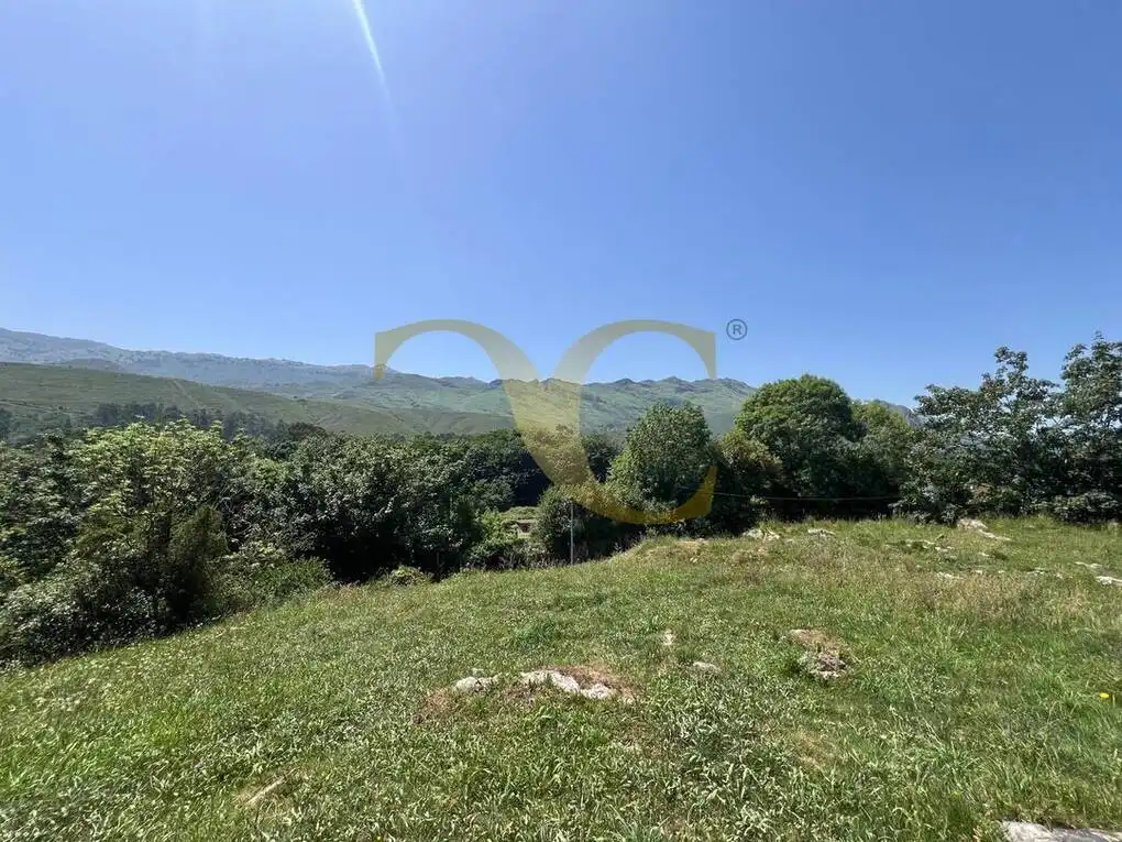 Casa con jardín en venta en San Roque del Acebal, imagen 12