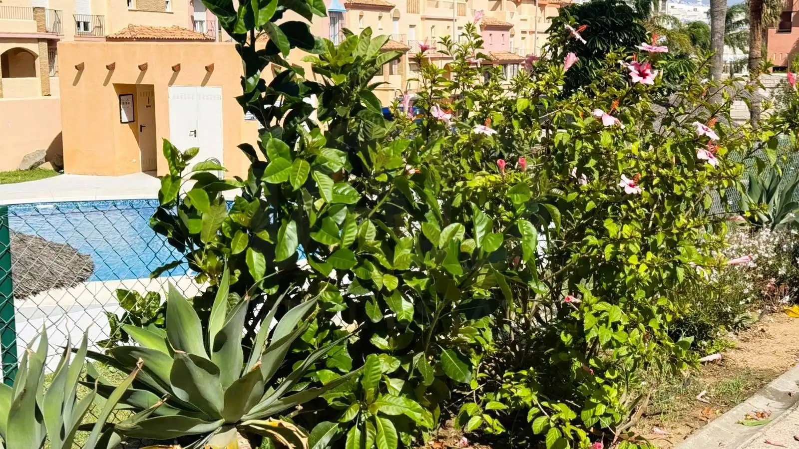 Flat with pool for sale in Tarifa ciudad, imagen 24