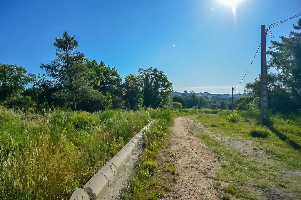 Terreno rústico en venta en Av de la Selva, imagen 7