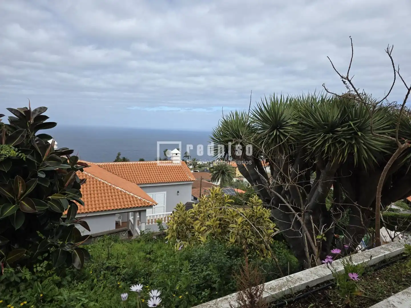 Vista exterior de Estudio en venta en Tacoronte con Piscina