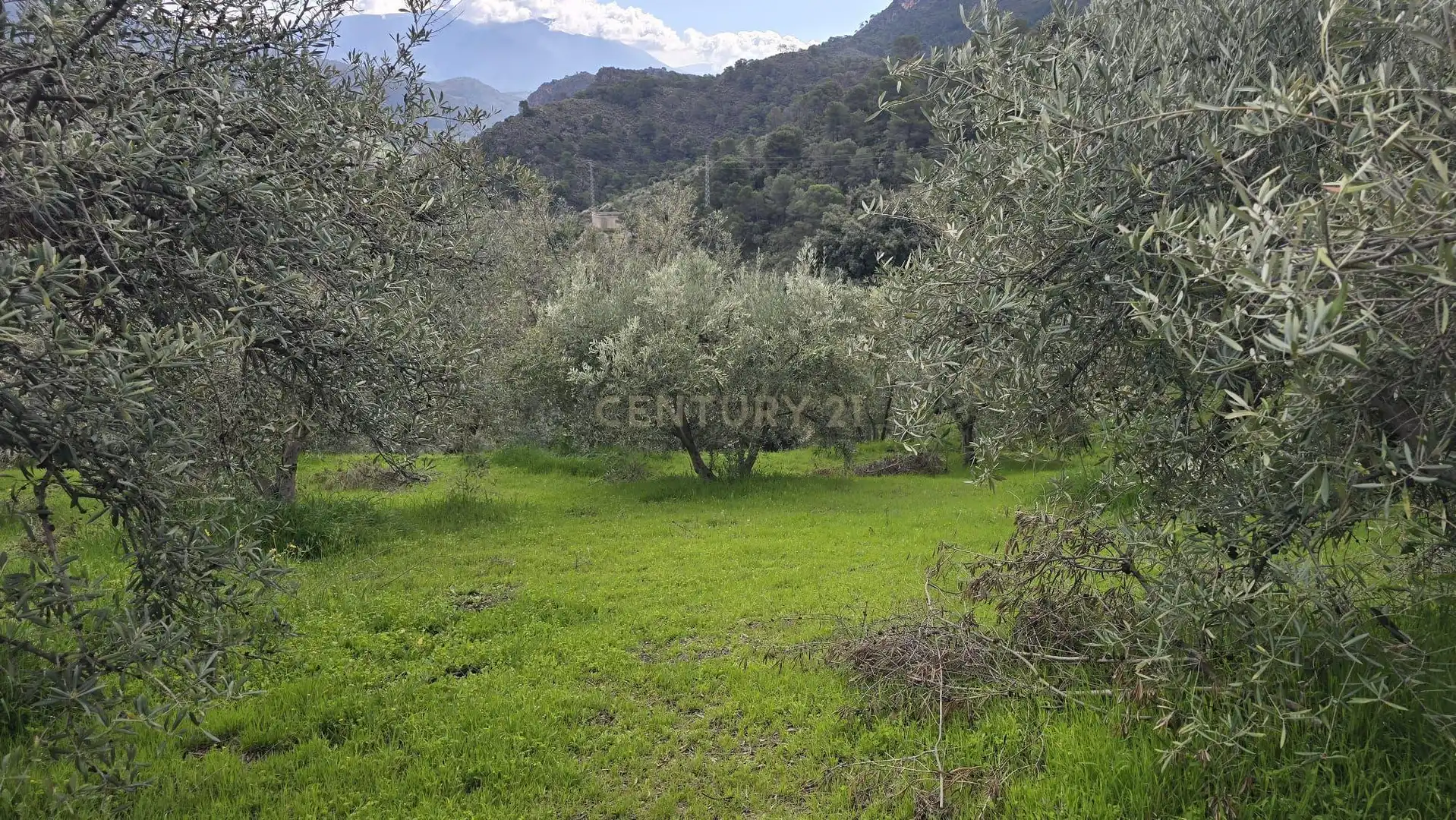 Terreno rustico in vendita a Polígono 11 Parcela 96 EL CERRILLAR. LOS GUAJARES (GRANADA), imagen 3
