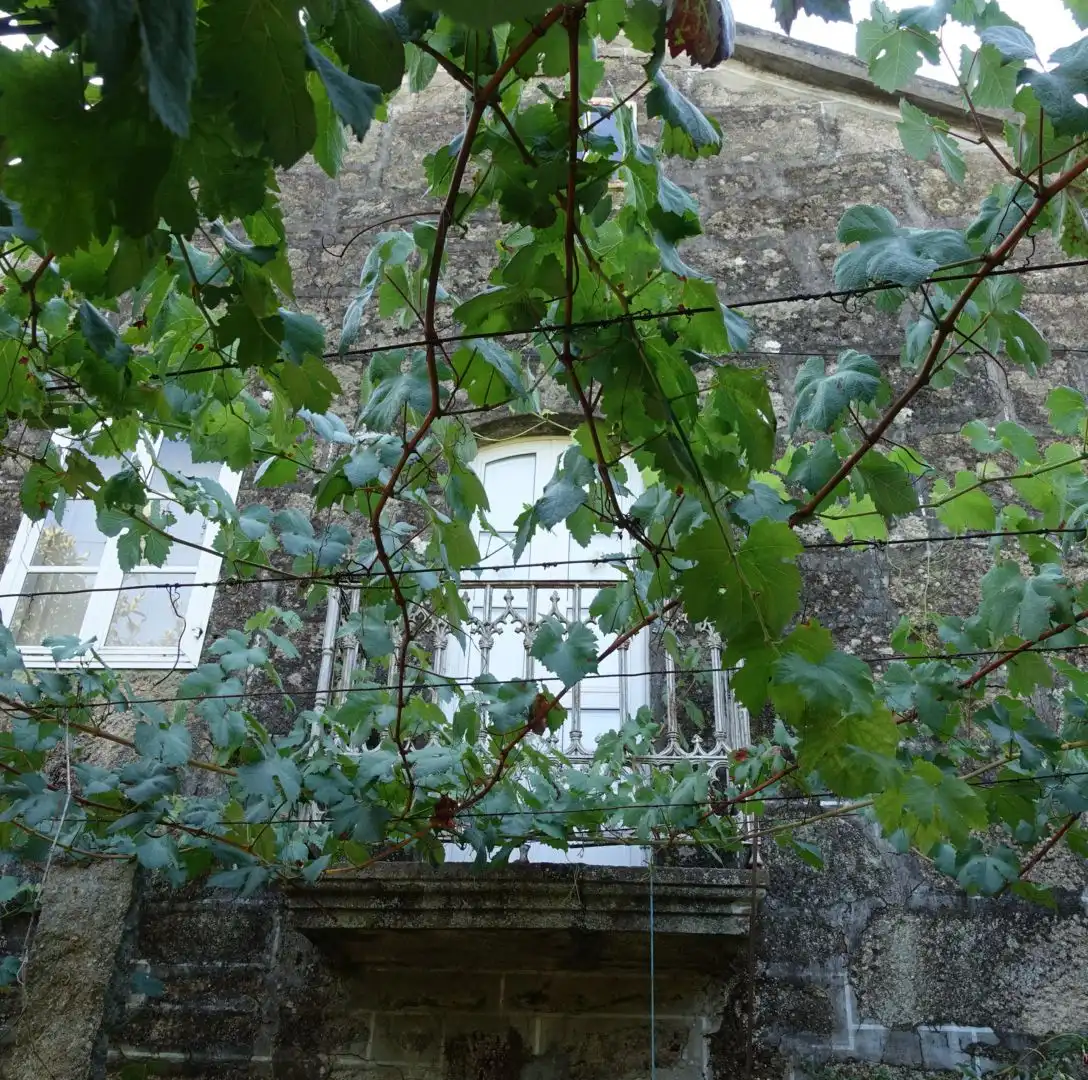 Garden of Houses for sale in Ponteareas, Pontevedra