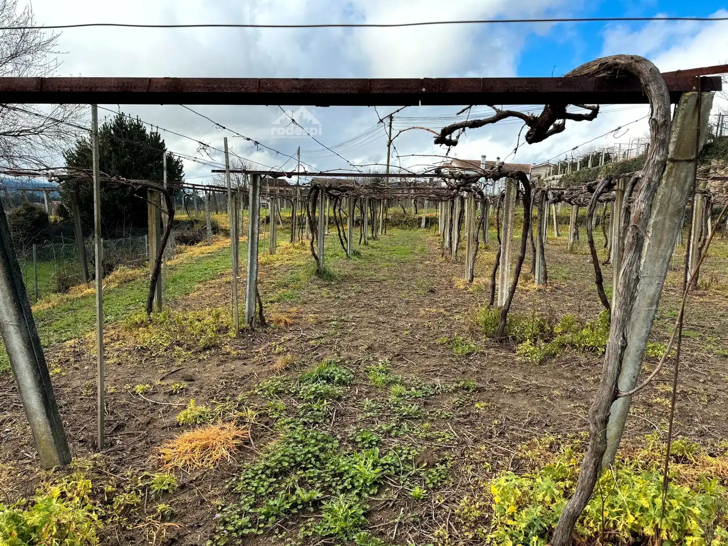 Rural land for sale in Arbo