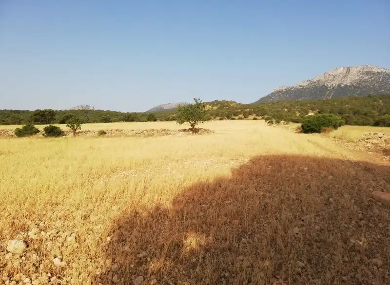 Rural land for sale in Aguica M Lorca 80, imagen 2