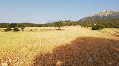 Foto 2 de Terreno en venta en Aguica M Lorca, 80, Fontanares, Lorca