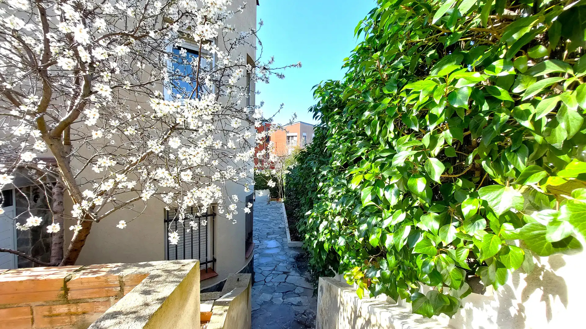 Detached homes for sale in Sant Llorenç Savall