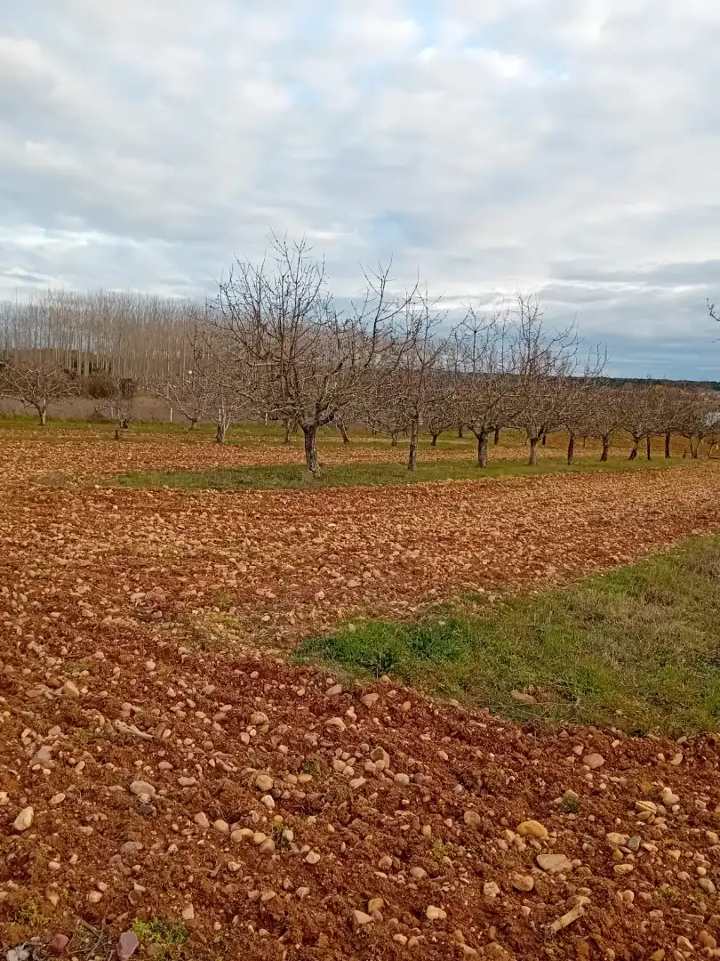Finca rústica en venta en ZA-P-1509, Villaveza de Valverde
