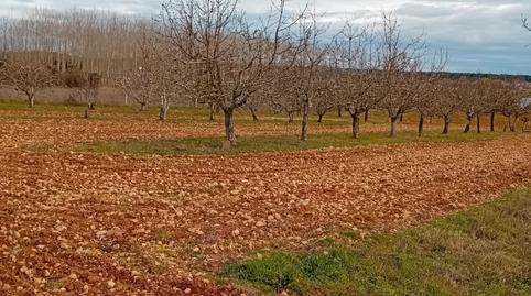 Photo 4 of Country house for sale in Za-p-1509, Villaveza de Valverde, Zamora