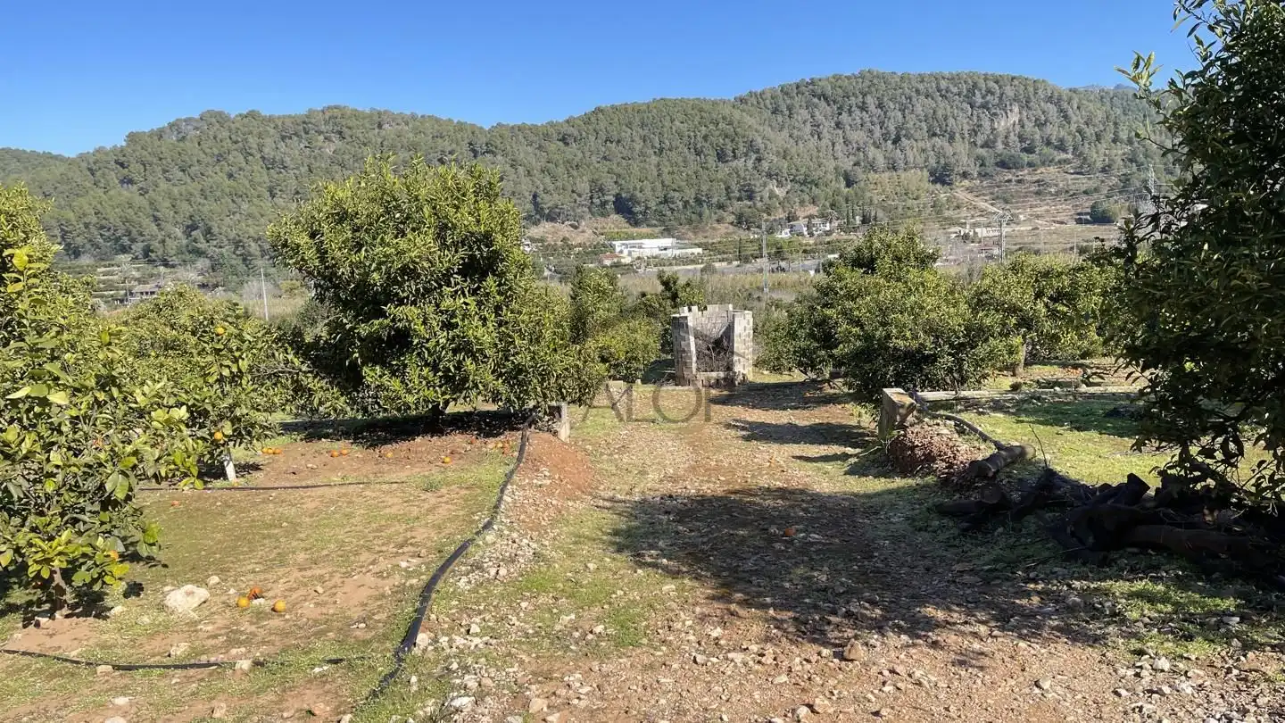 Terreny rústic en venda a Urbanitzacions i Pedanies Sud, imagen 11
