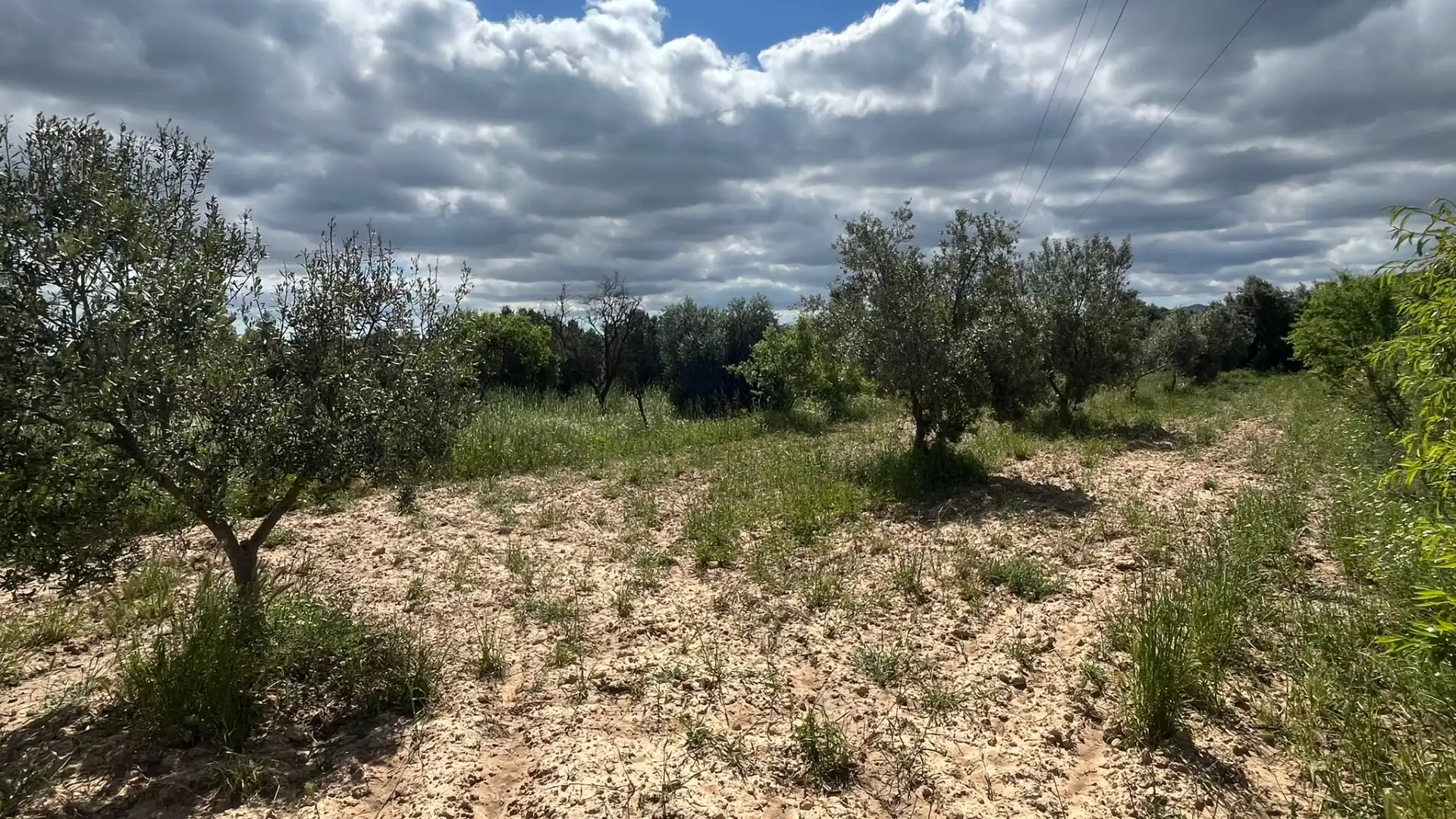 Terreno en venta en La Fresneda