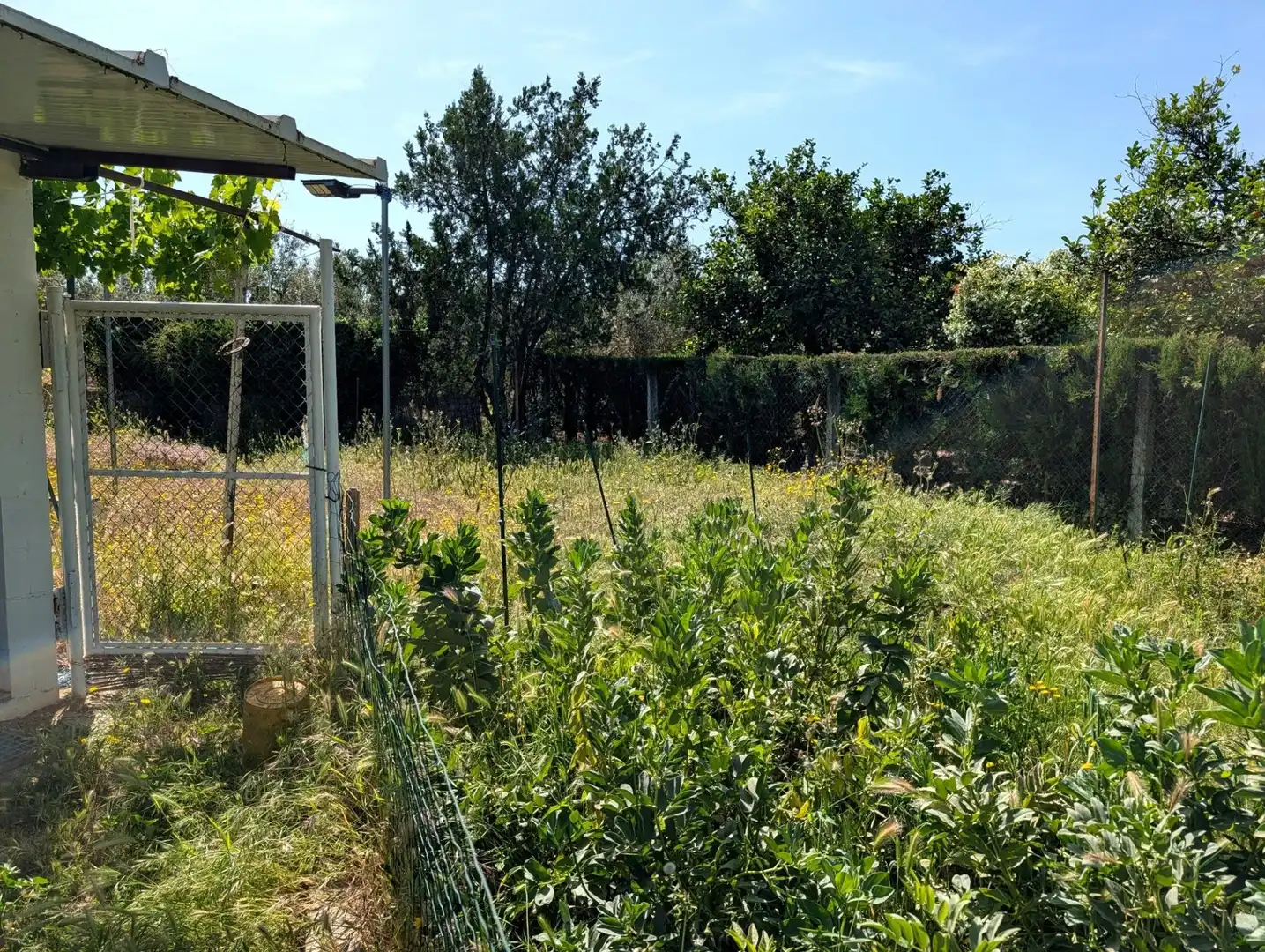 Chalet con jardín en venta en Sanlúcar la Mayor, imagen 36